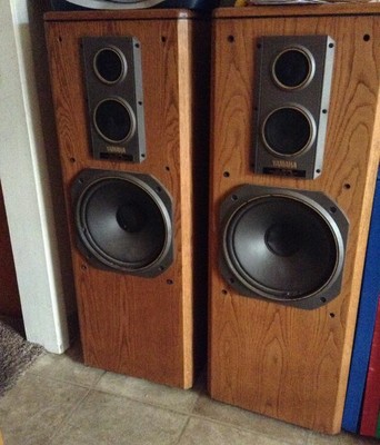 voice of music speakers